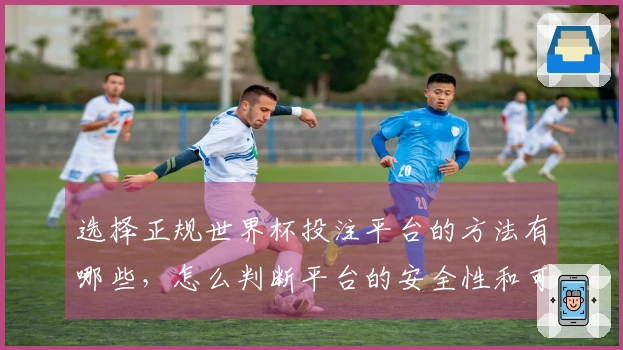 选择正规世界杯投注平台的方法有哪些,怎么判断平台的安全性和可靠性
